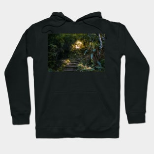 Staircase in a forest Hoodie